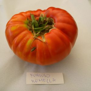 Furioso Remella