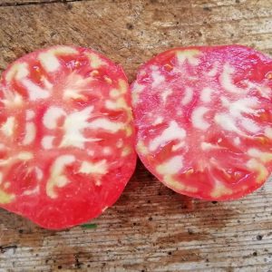 Peach Blow Sutton